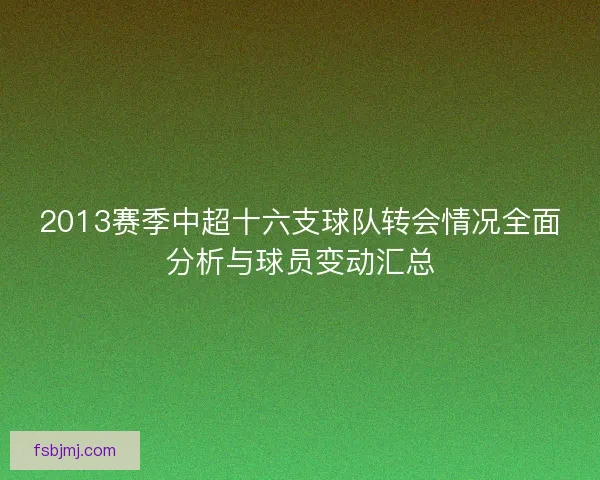 2013赛季中超十六支球队转会情况全面分析与球员变动汇总