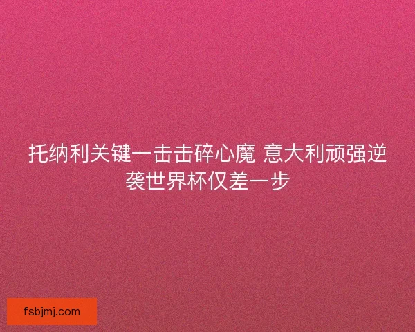 托纳利关键一击击碎心魔 意大利顽强逆袭世界杯仅差一步