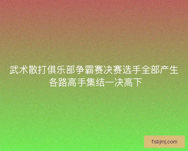 武术散打俱乐部争霸赛决赛选手全部产生 各路高手集结一决高下